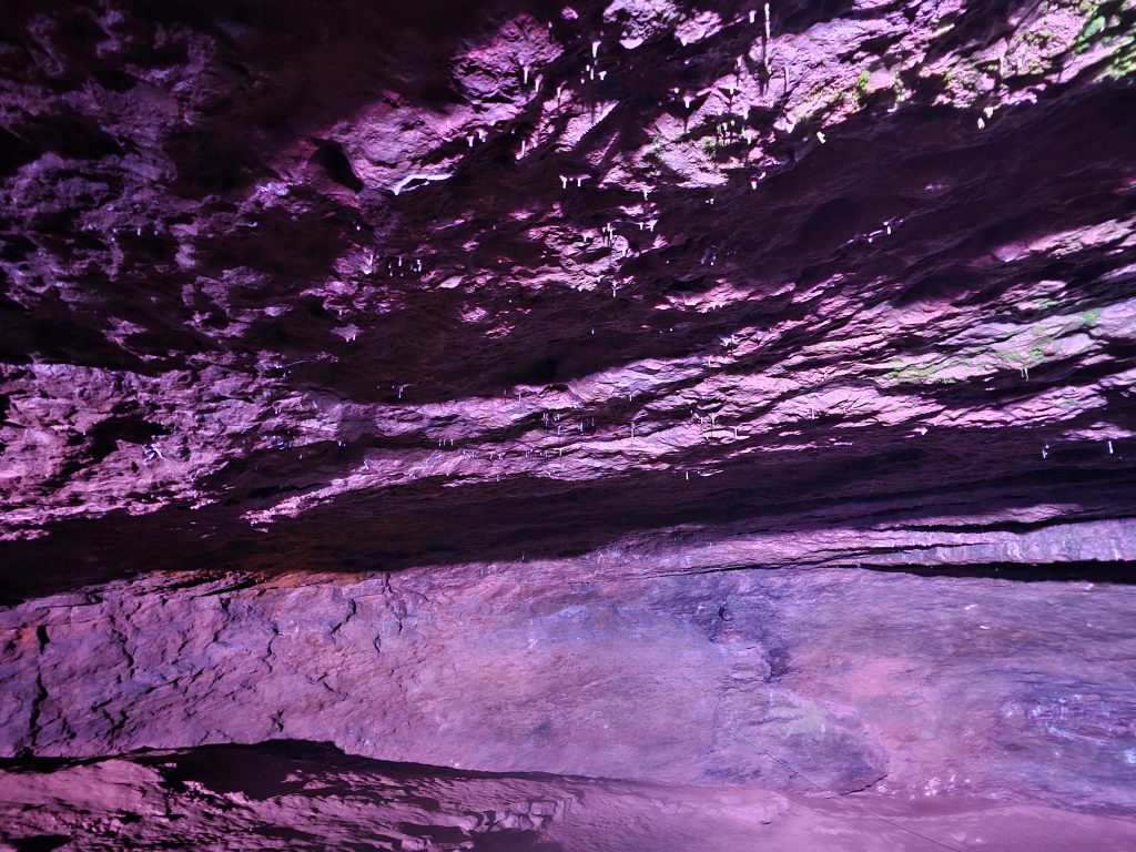 Wookey Hole Caves