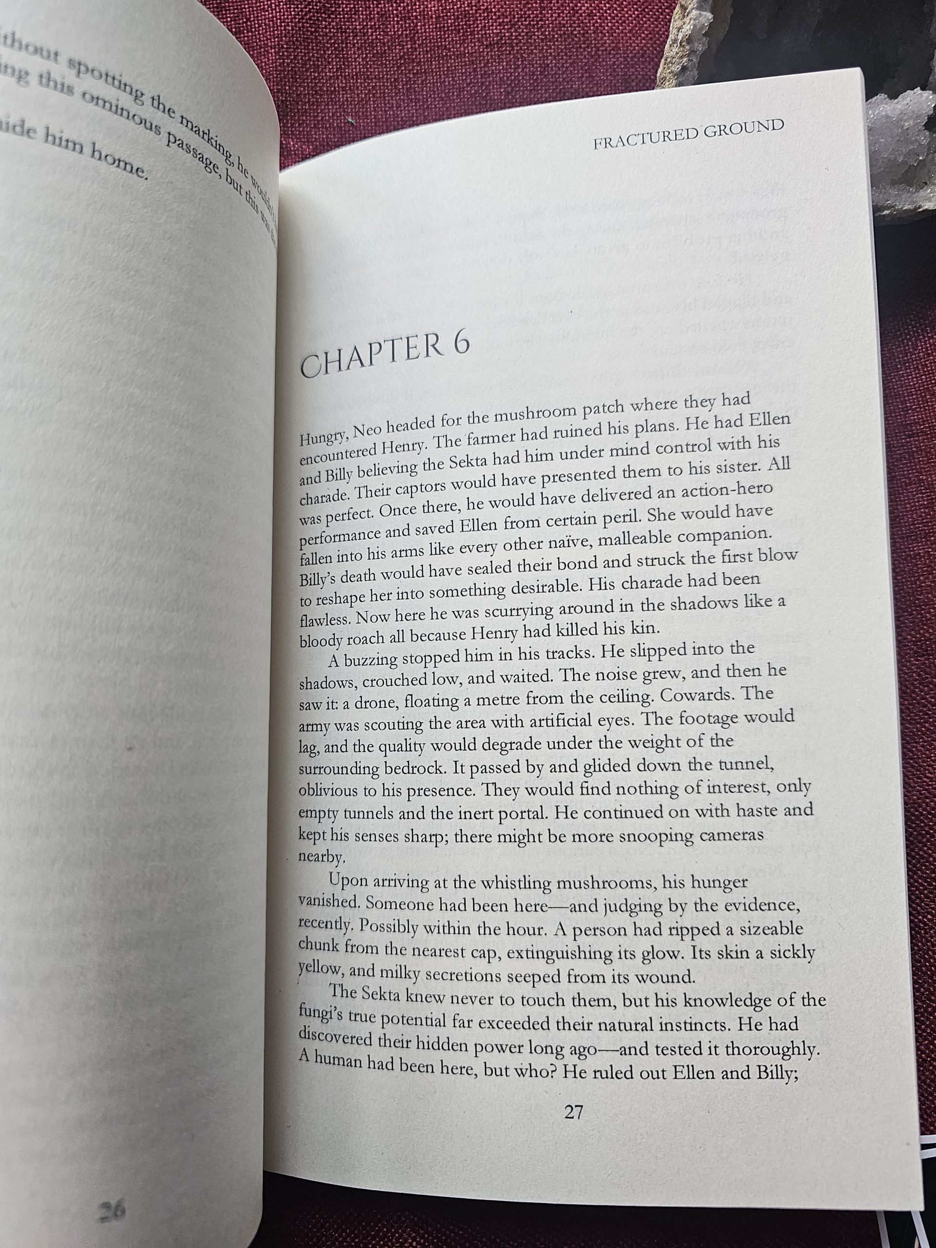 Inside book showing chapter and page layout